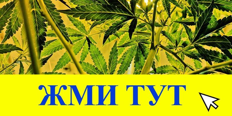 Купить наркотики в Завитинске